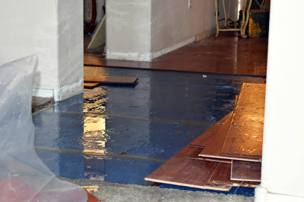 Professional Basement Flood Cleanup technician working in Montrose, AL